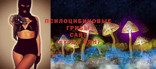 СК Арсеньев