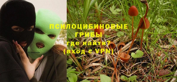 СК Арсеньев